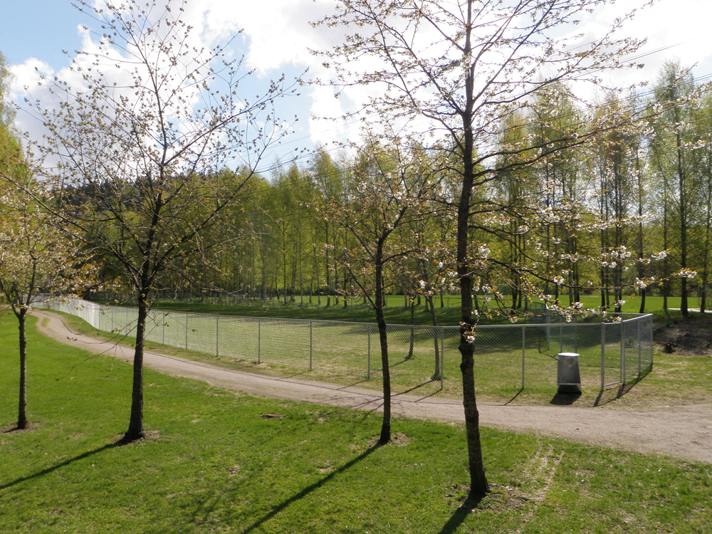 Kjørbotangen park
