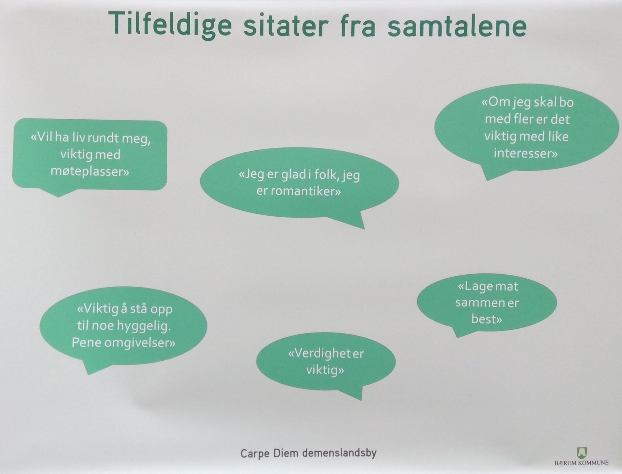 Kartlegging av brukernes behov - sitater