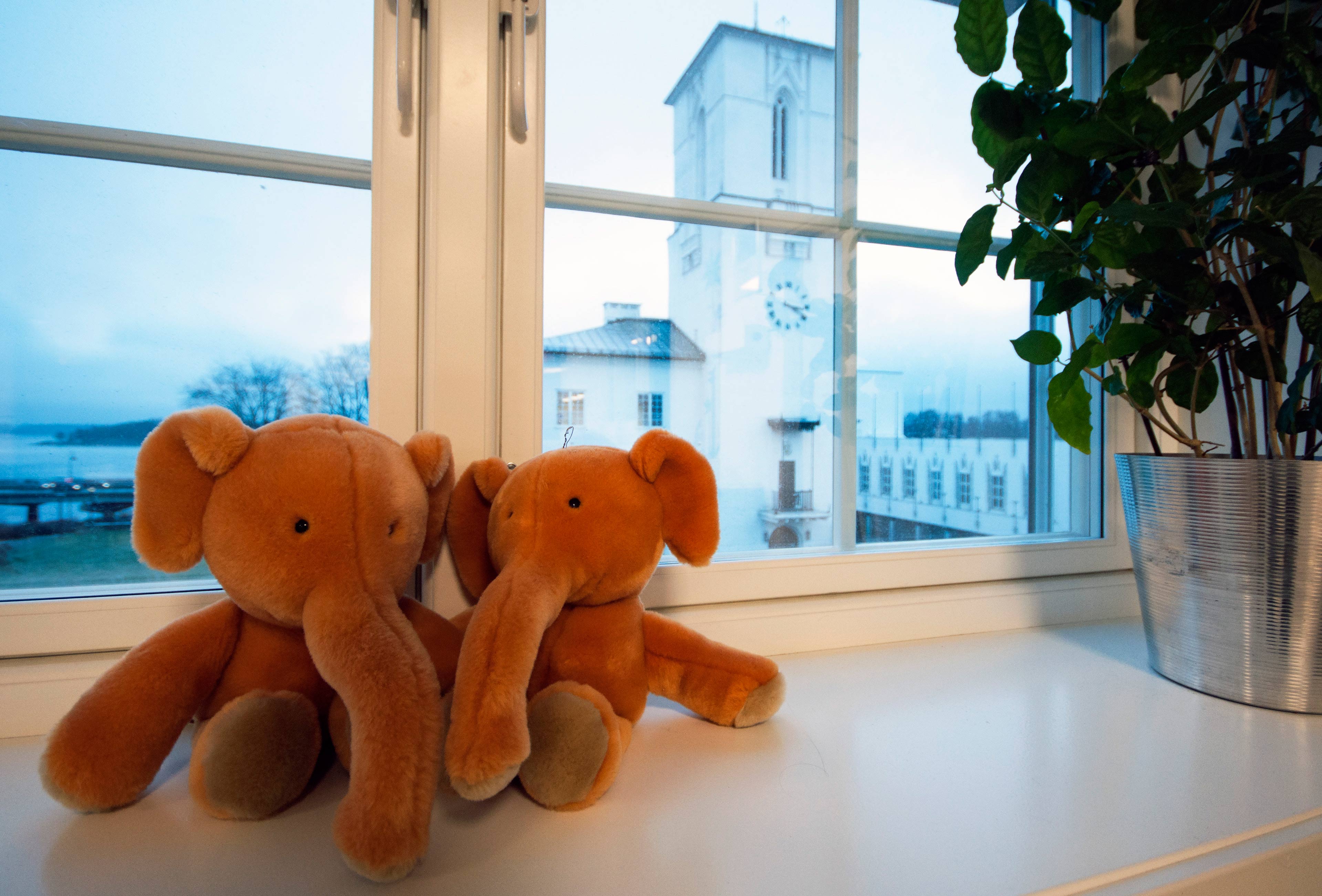 Sandvika Helsestasjon kosedyr