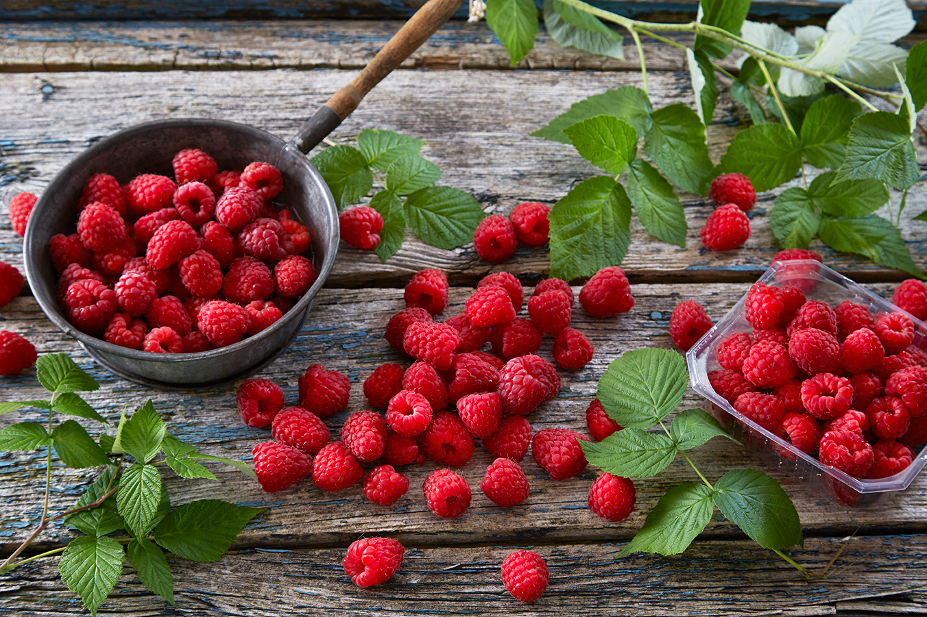 Topp bilde forside - Grønnsaker og frukt