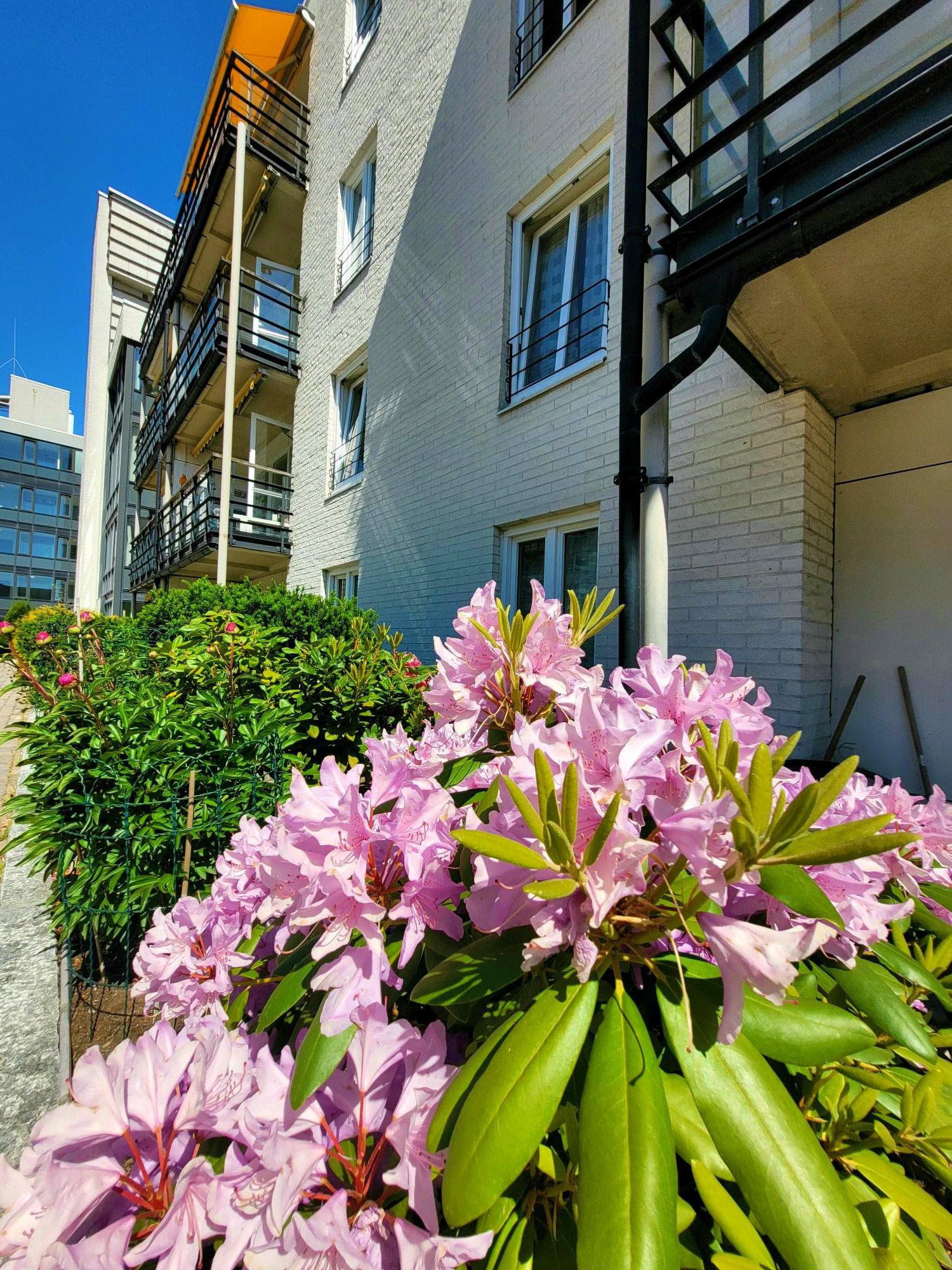 Atriumgården omsorgsboliger  - ute blomster