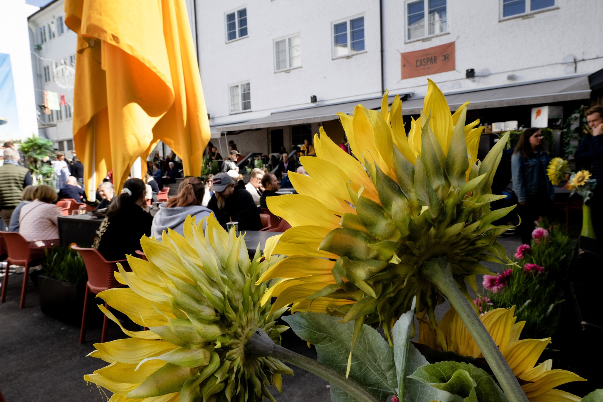 BAKgården - en oase av ferie