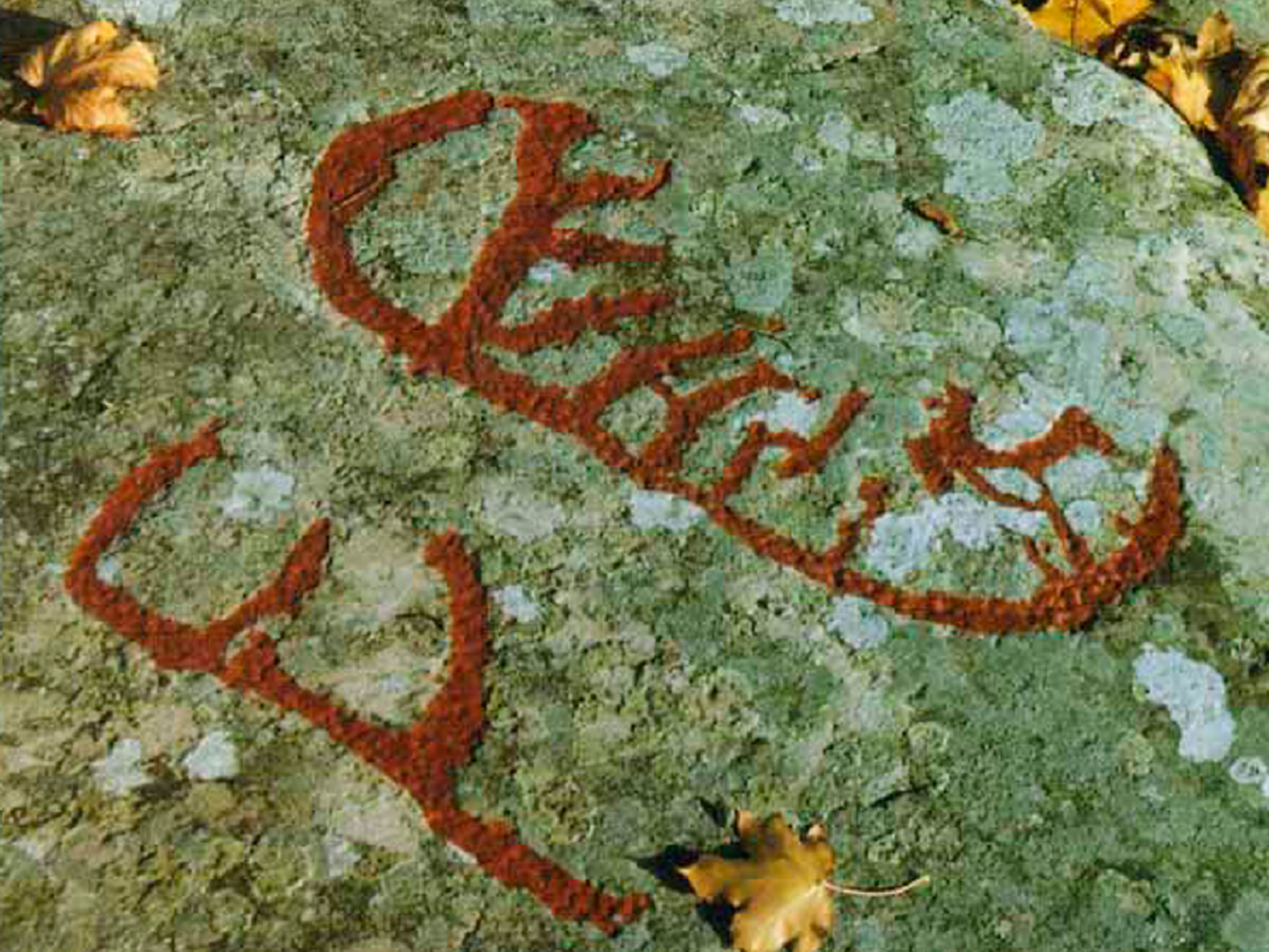 Helleristningene på Dalbo