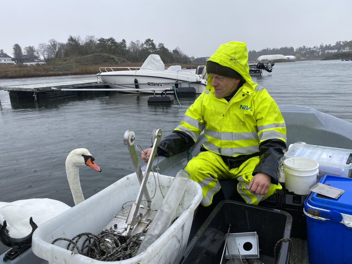 Bildet viser prøvetaking i Hundesund. Foto: NIVA.